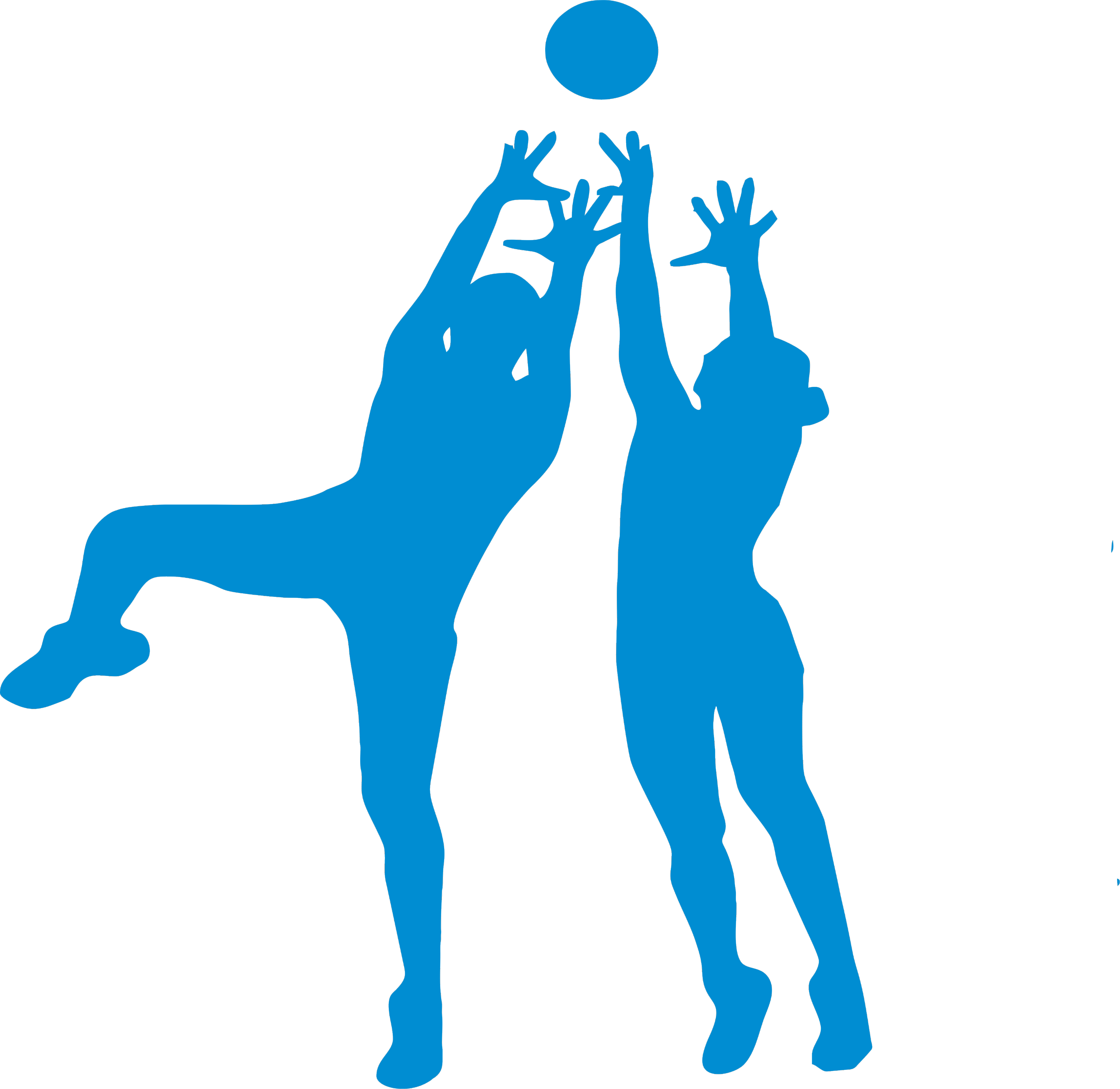 Sparte Volleyball